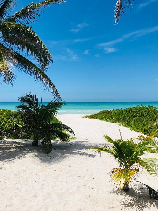 Appartement Cabana Tortuga A Unos Pasos De La Playa à El Cuyo Extérieur photo